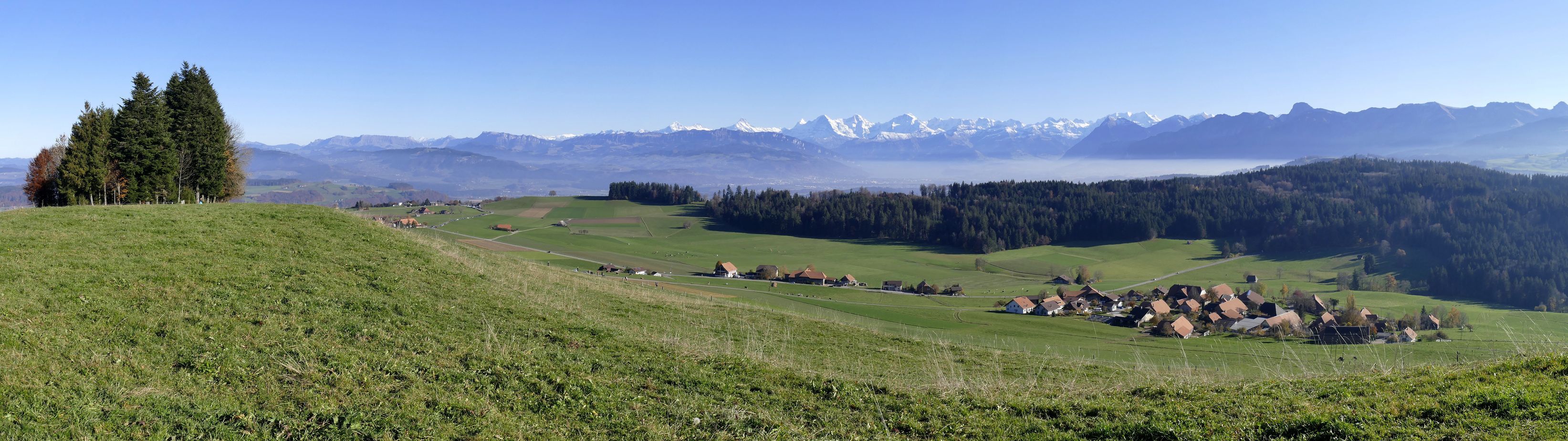 Blick vor Bütschelegg us